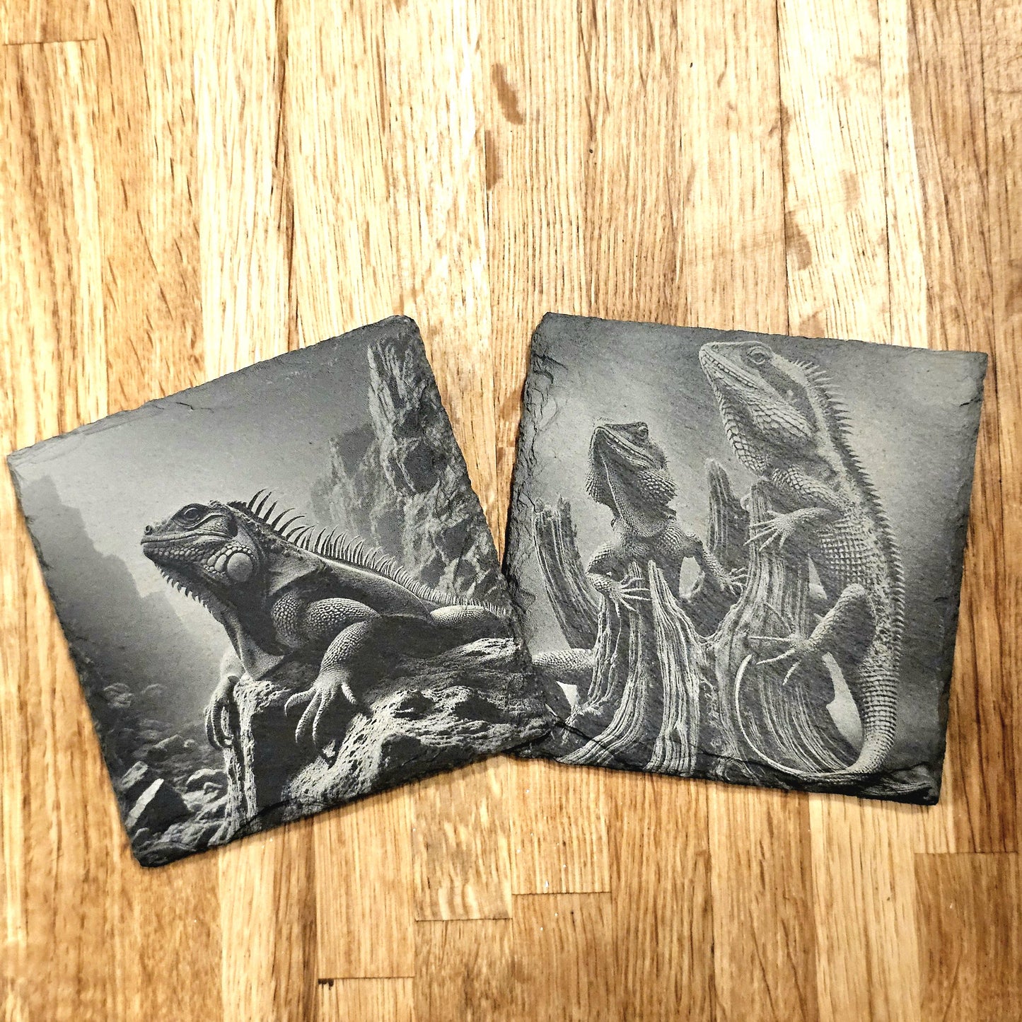 Lizards 4 Coaster Set