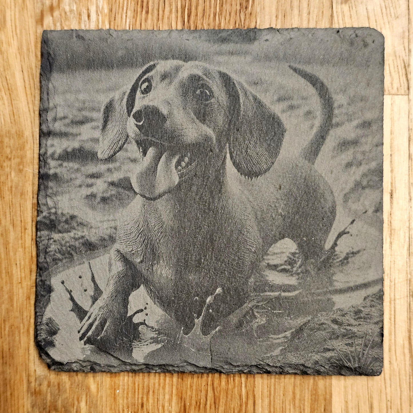 Happy Dachshund 4 Coaster Set