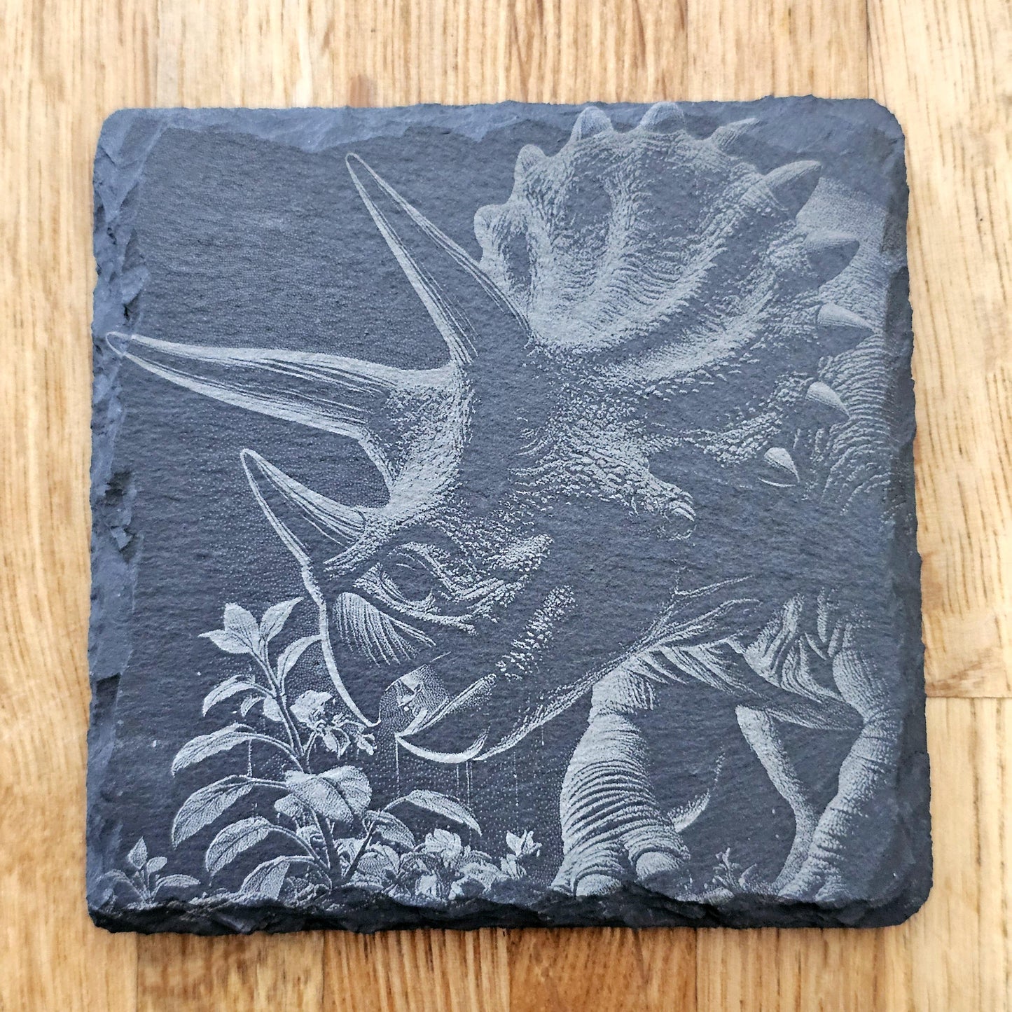 Dinosaur Art 4 Coaster Set