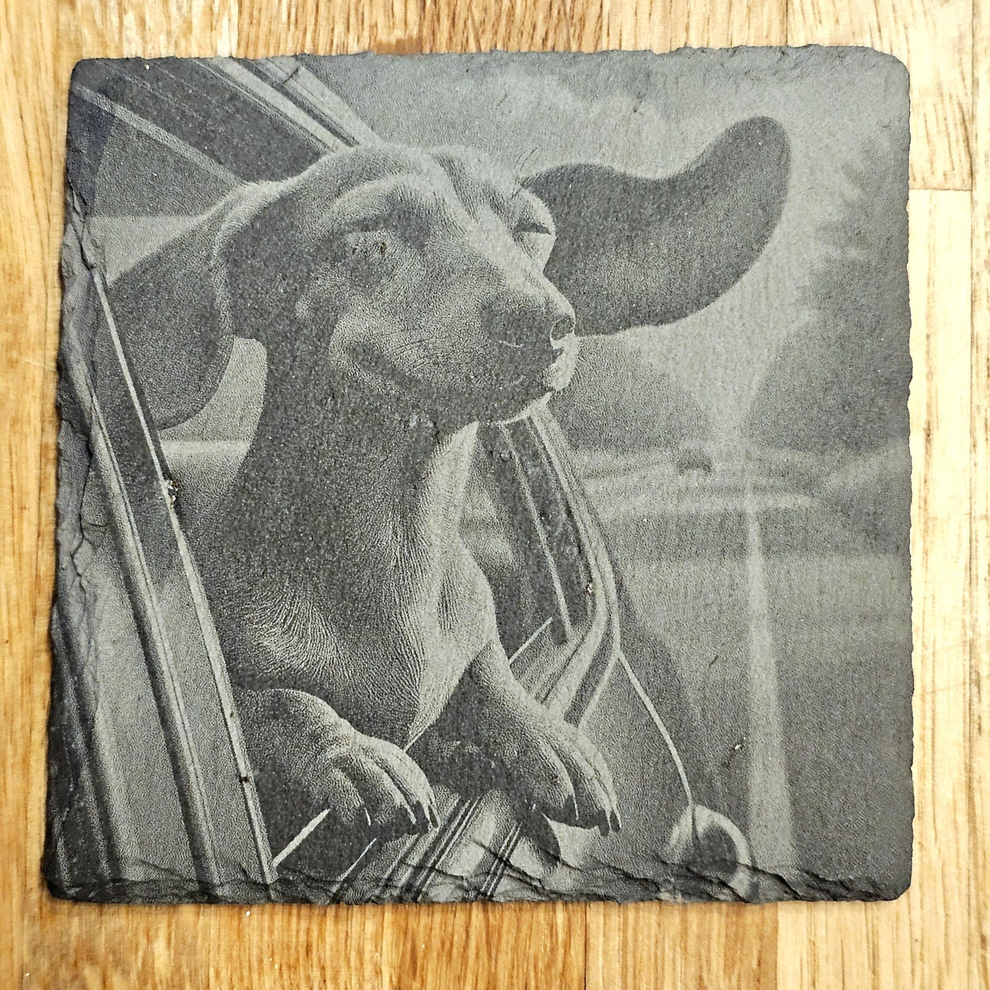 Happy Dachshund 4 Coaster Set