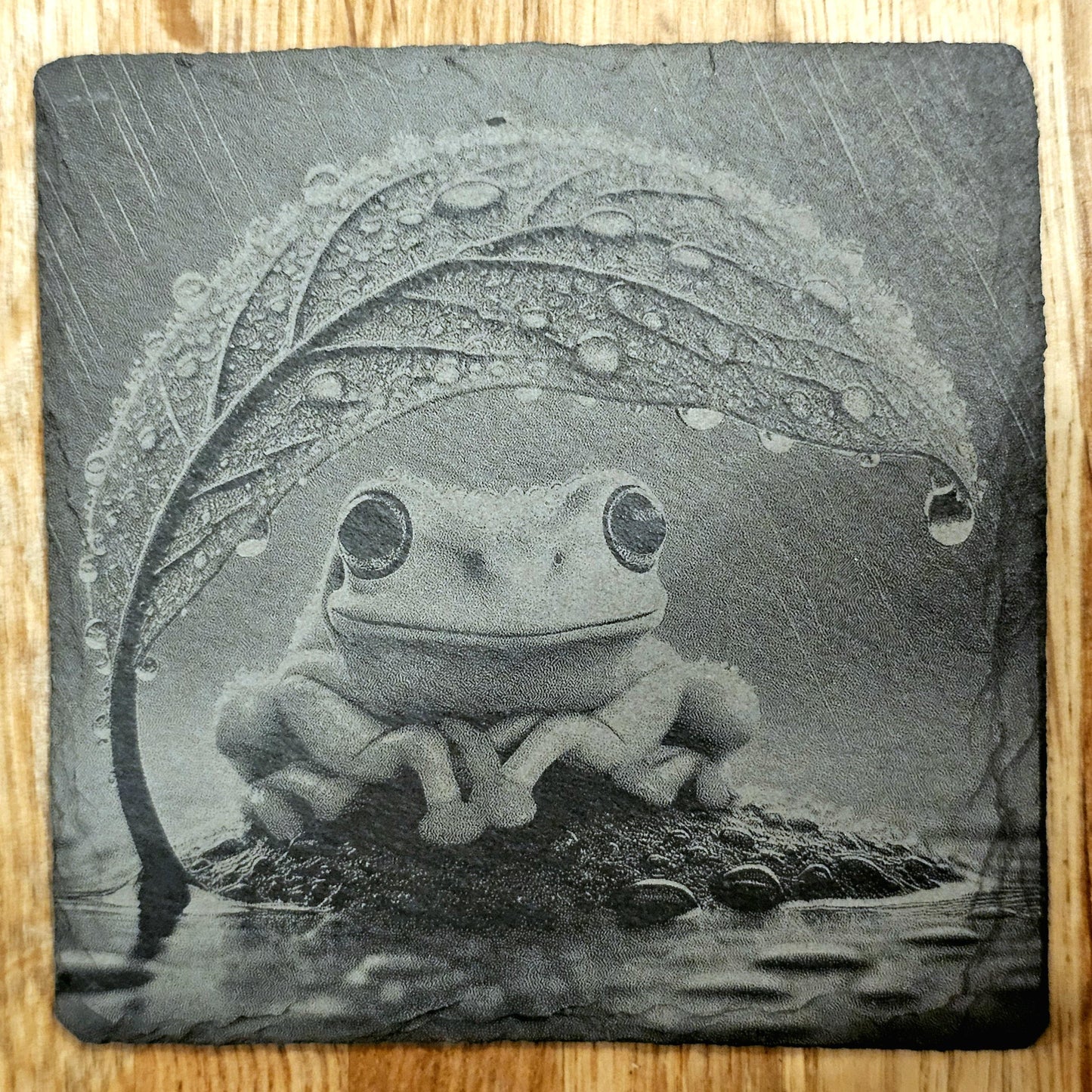 Frog Coaster Set