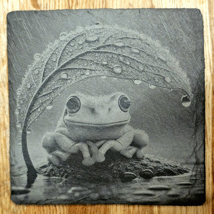 Frog Coaster Set