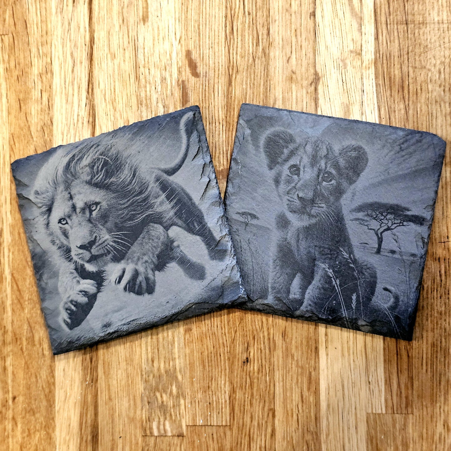 Lion Art 4 Coaster Set