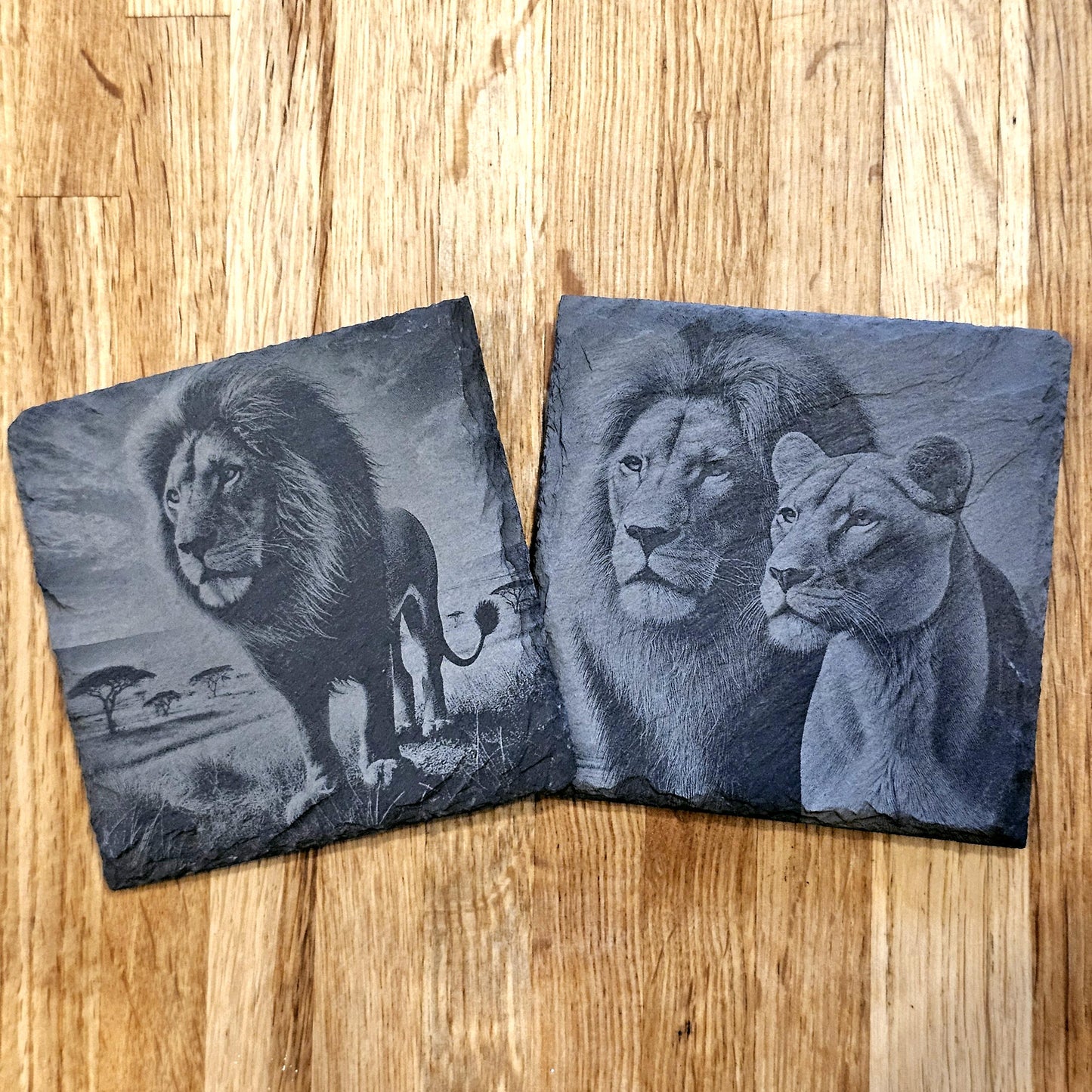 Lion Art 4 Coaster Set