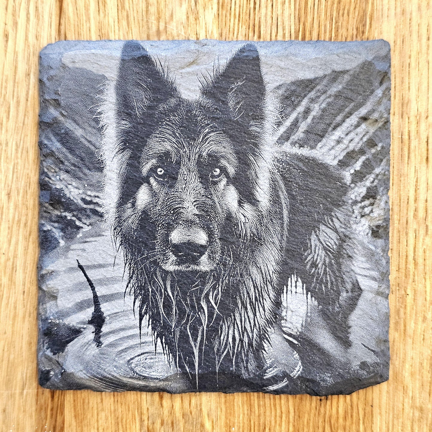 German Shepherd 4 Coaster Set