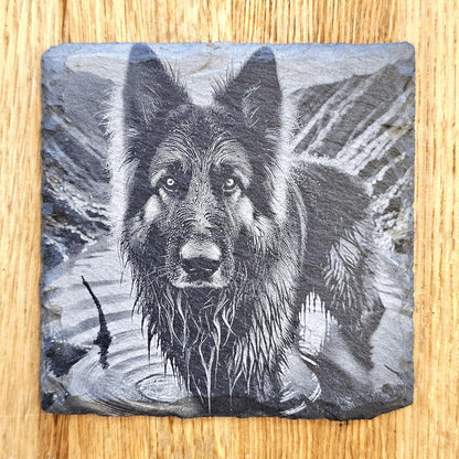 German Shepherd 4 Coaster Set