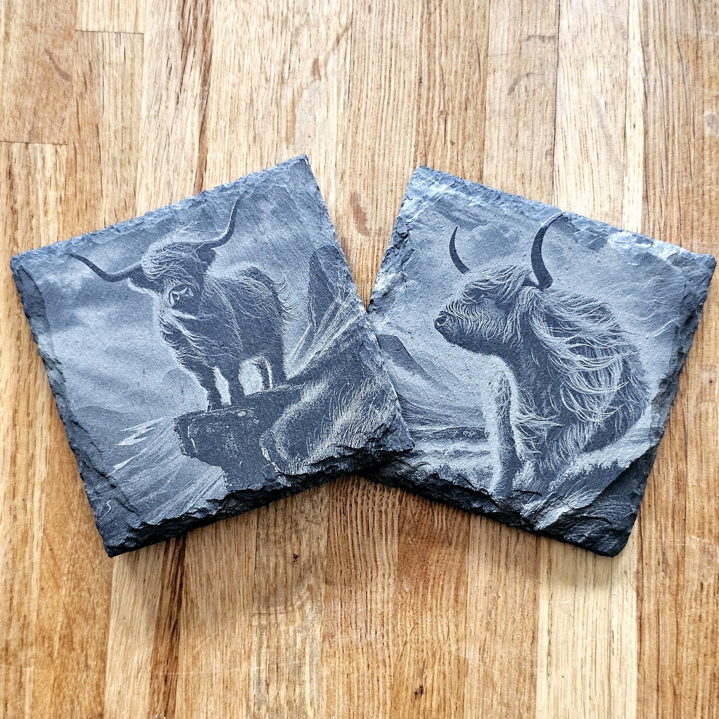 Highland Cows Coaster Set