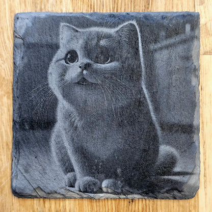 Happy Cat 4 Coaster Set