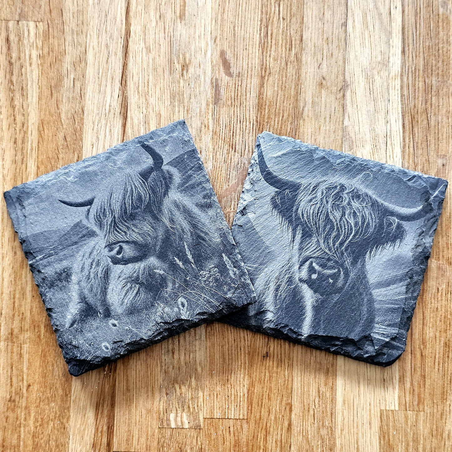 Highland Cows Coaster Set