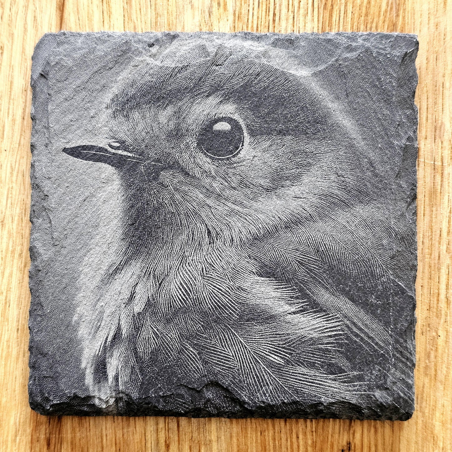 Garden Birds Coaster Set