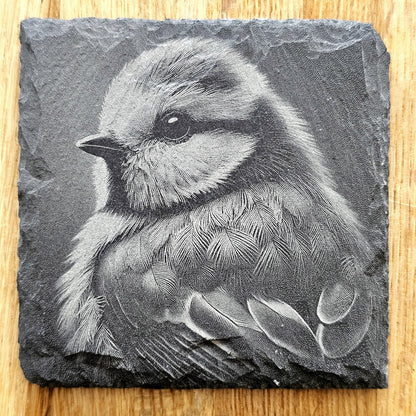 Garden Birds Coaster Set
