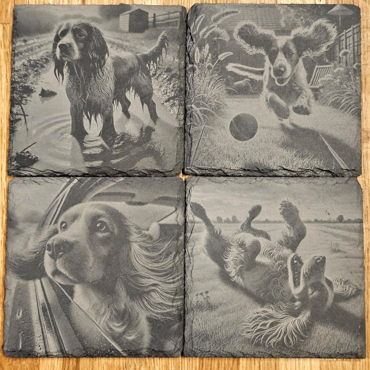 Happy Spaniel 4 Coaster Set