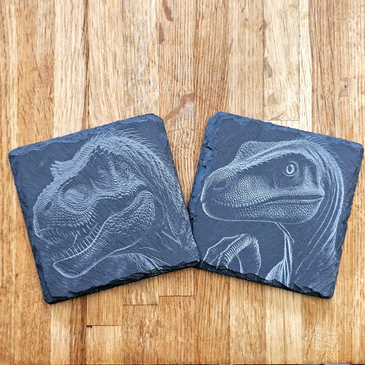 Dinosaur Art 4 Coaster Set