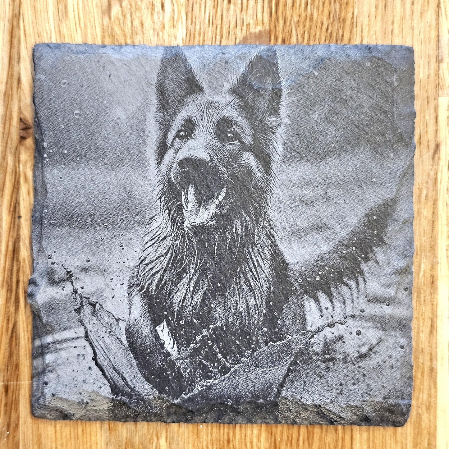 German Shepherd 4 Coaster Set