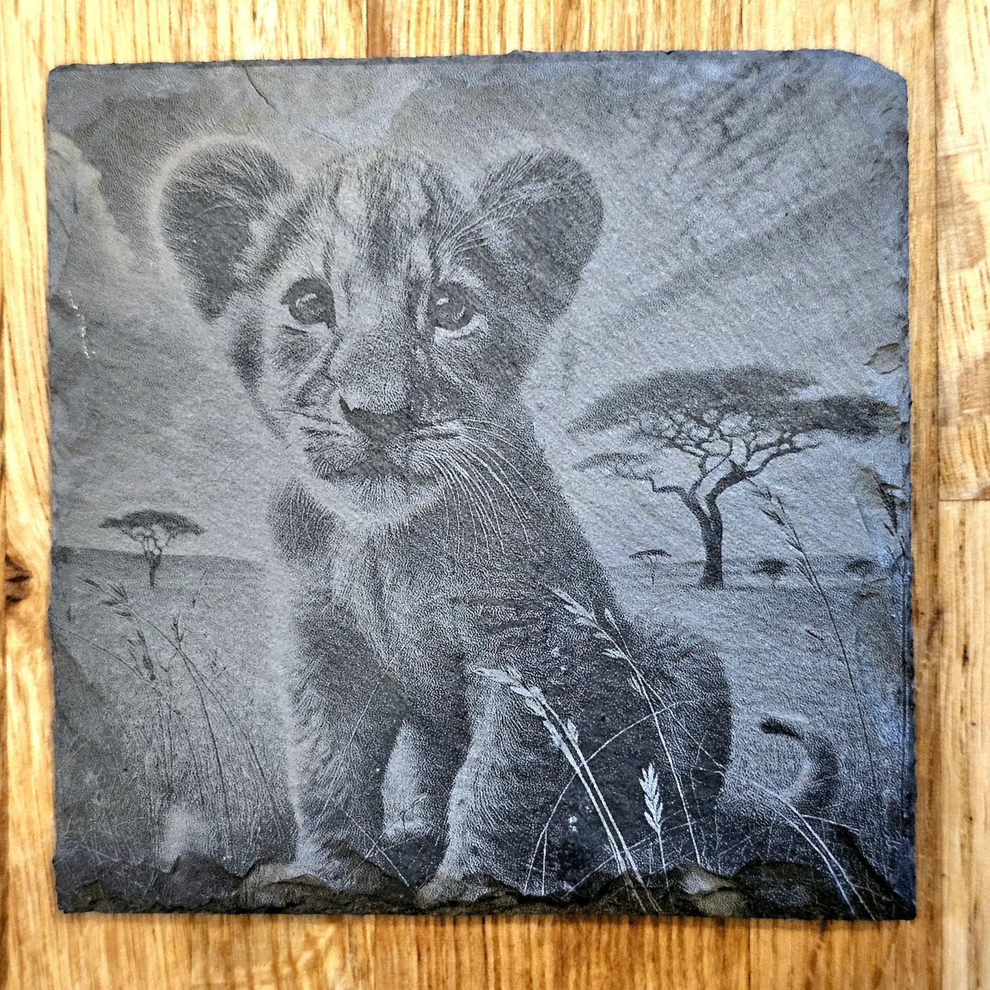Lion Art 4 Coaster Set