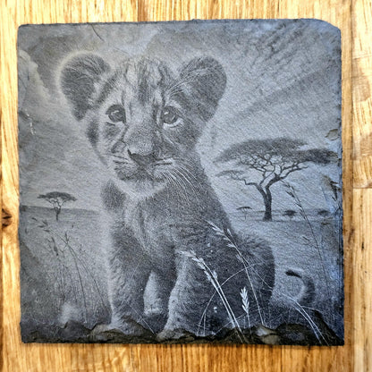 Lion Art 4 Coaster Set
