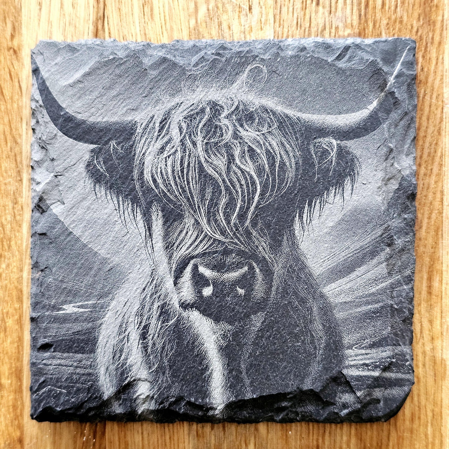 Highland Cows Coaster Set