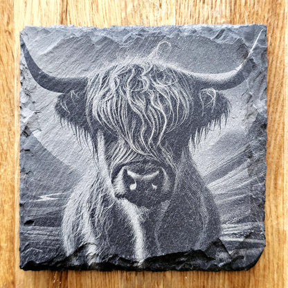 Highland Cows Coaster Set