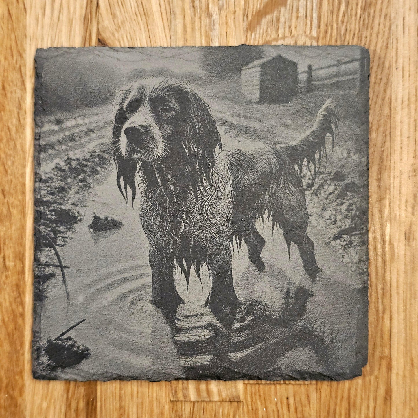 Happy Spaniel 4 Coaster Set