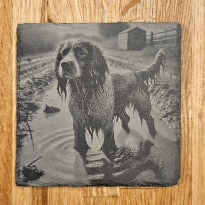 Happy Spaniel 4 Coaster Set