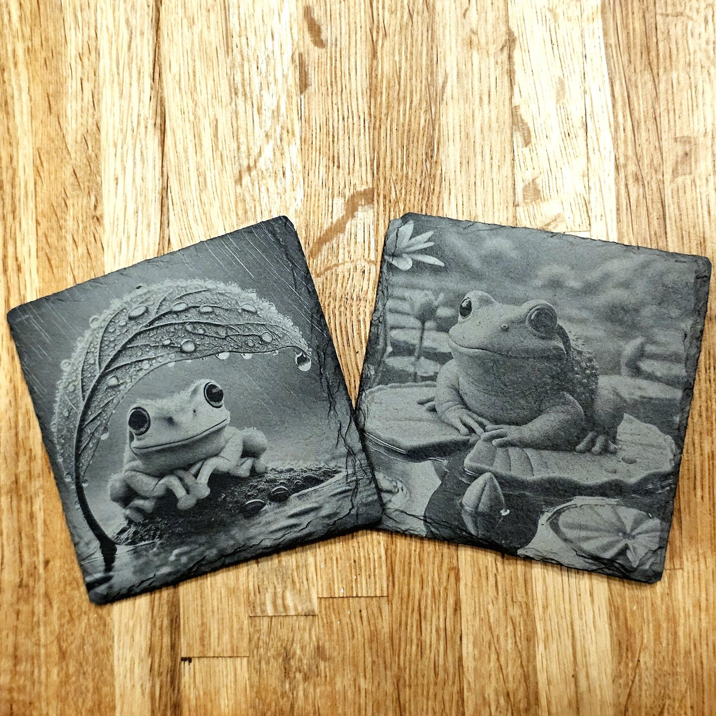 Frog Coaster Set