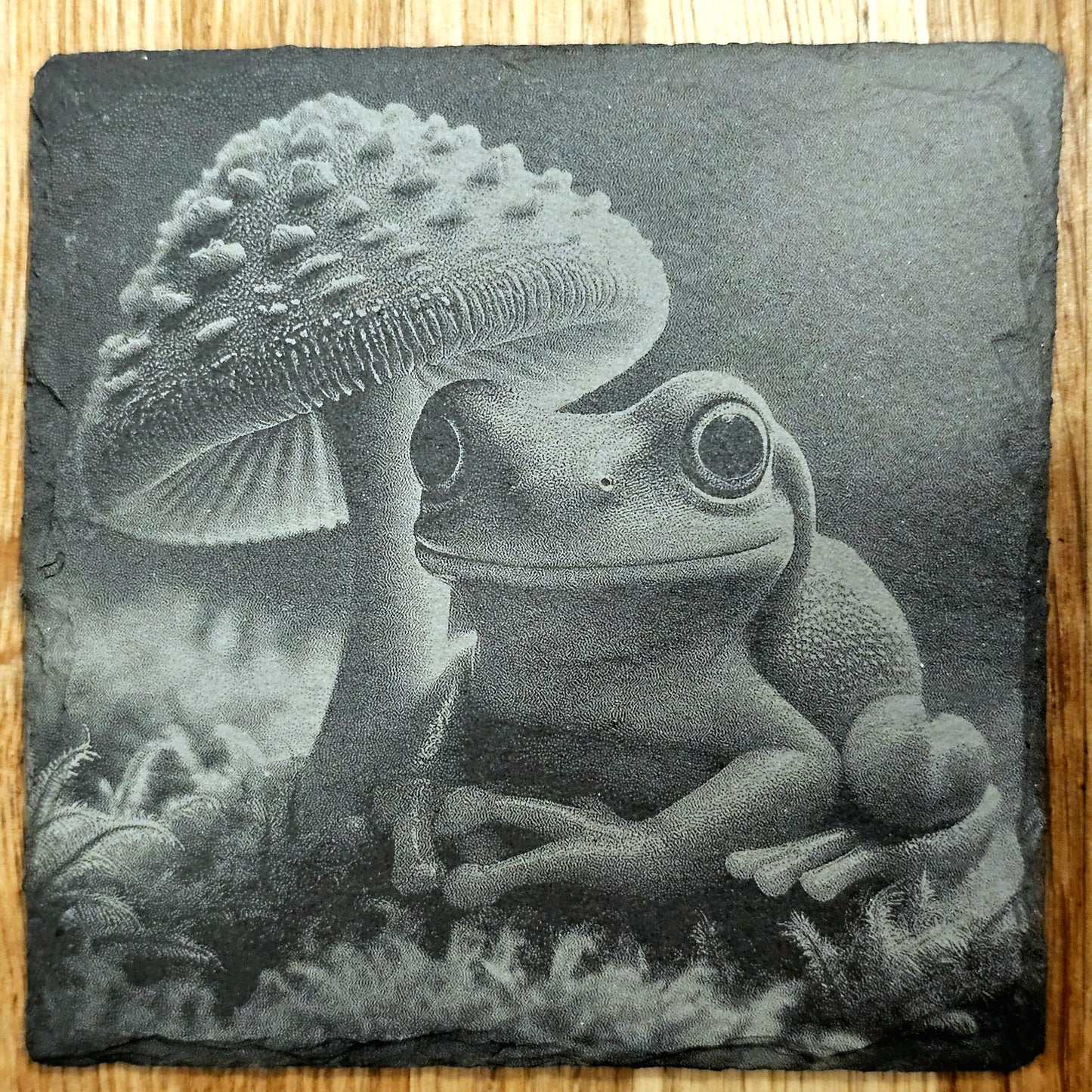 Frog Coaster Set