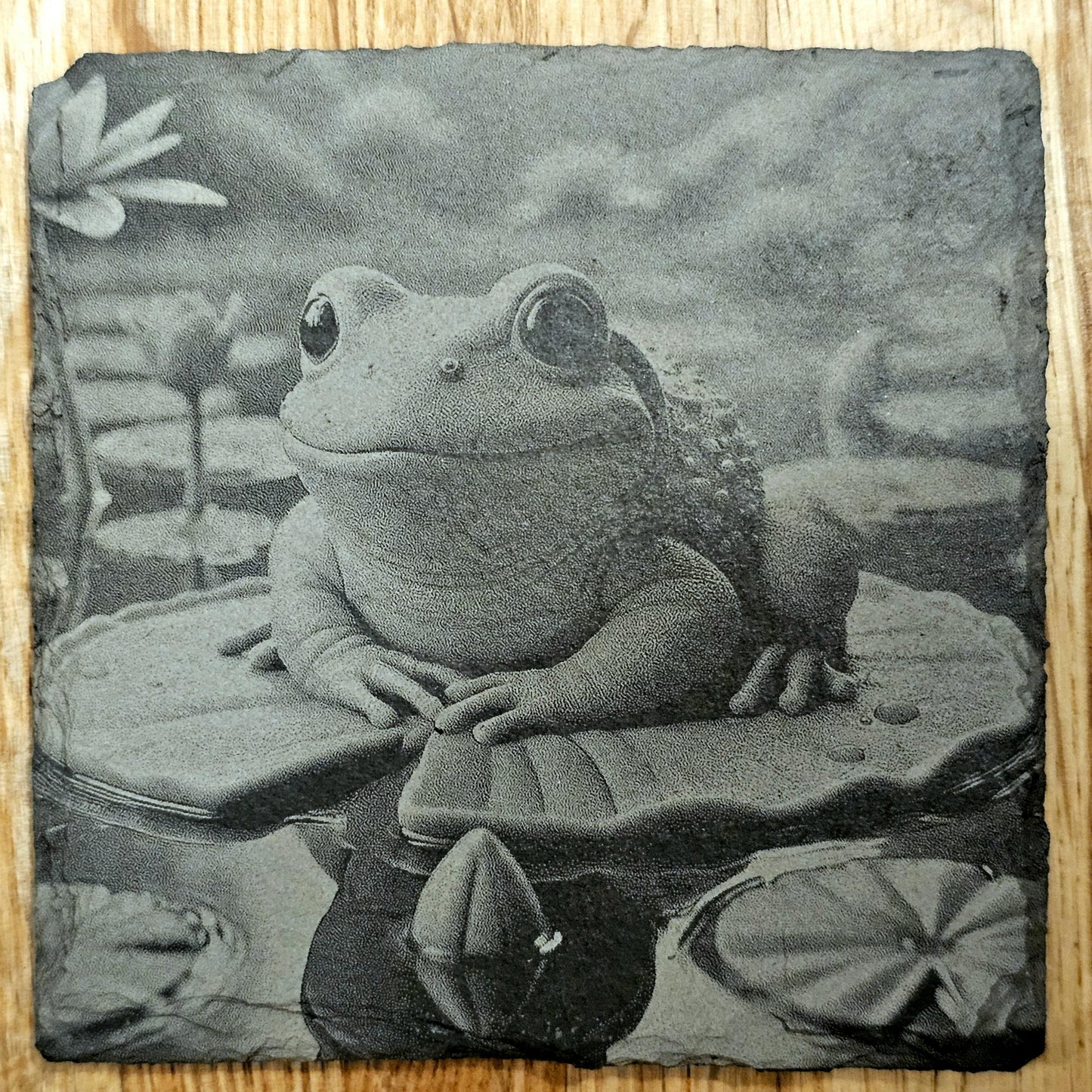 Frog Coaster Set