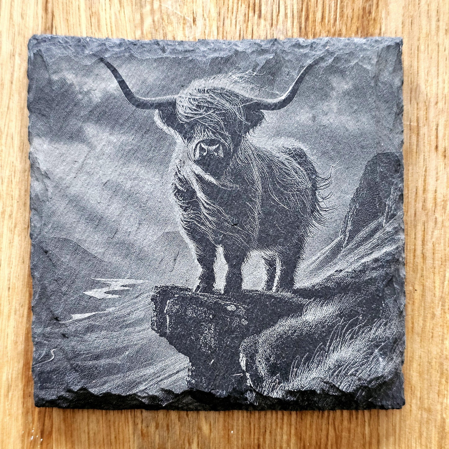Highland Cows Coaster Set