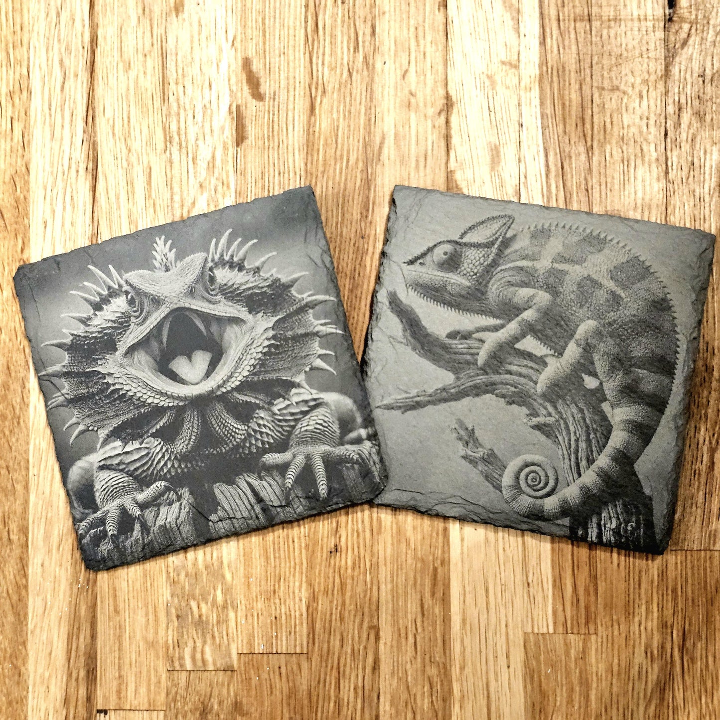 Lizards 4 Coaster Set