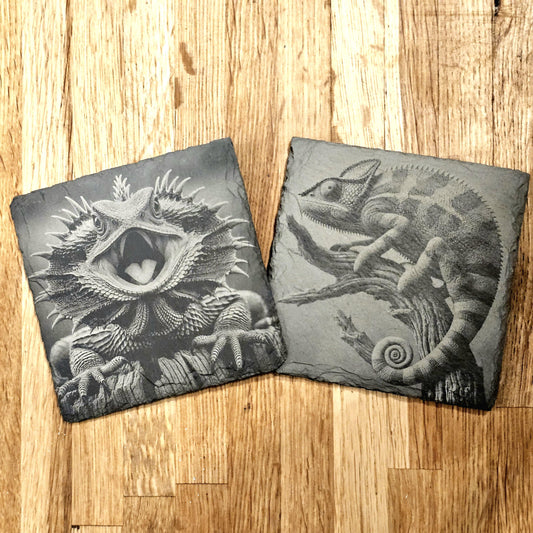 Lizards 4 Coaster Set