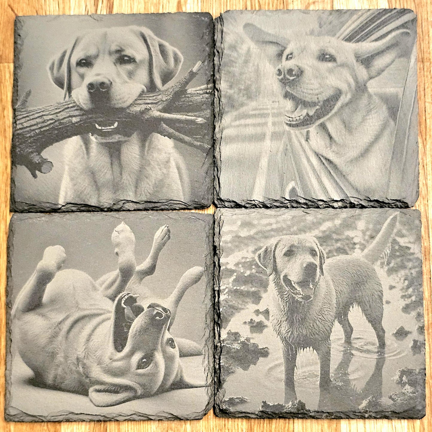 Happy Labrador 4 Coaster Set