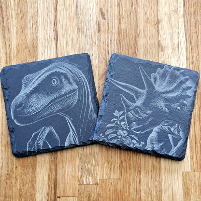 Dinosaur Art 4 Coaster Set