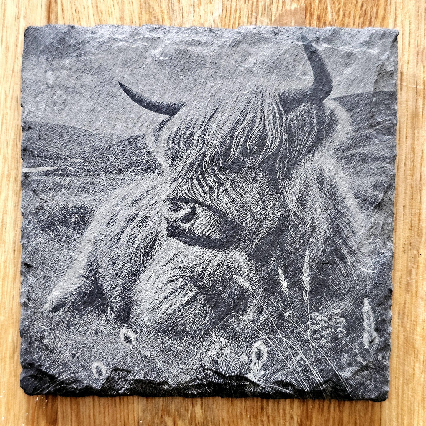 Highland Cows Coaster Set