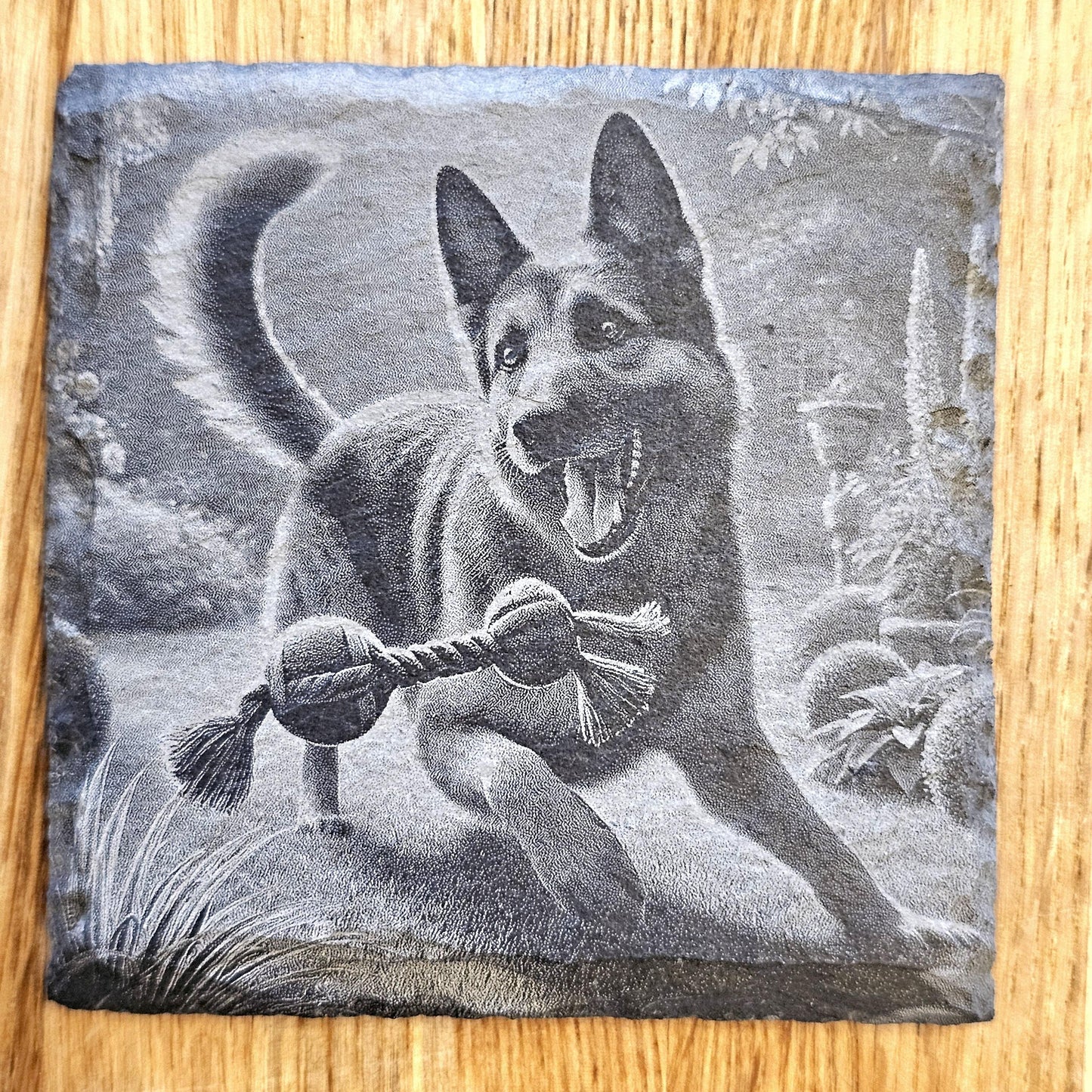 German Shepherd 4 Coaster Set