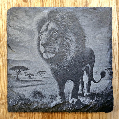 Lion Art 4 Coaster Set