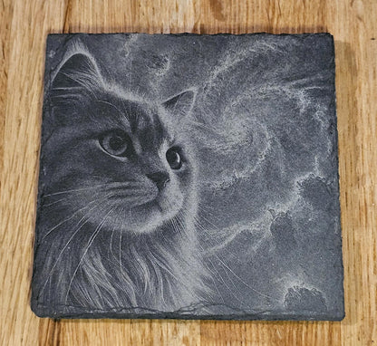 Cat Nebula Coaster Set
