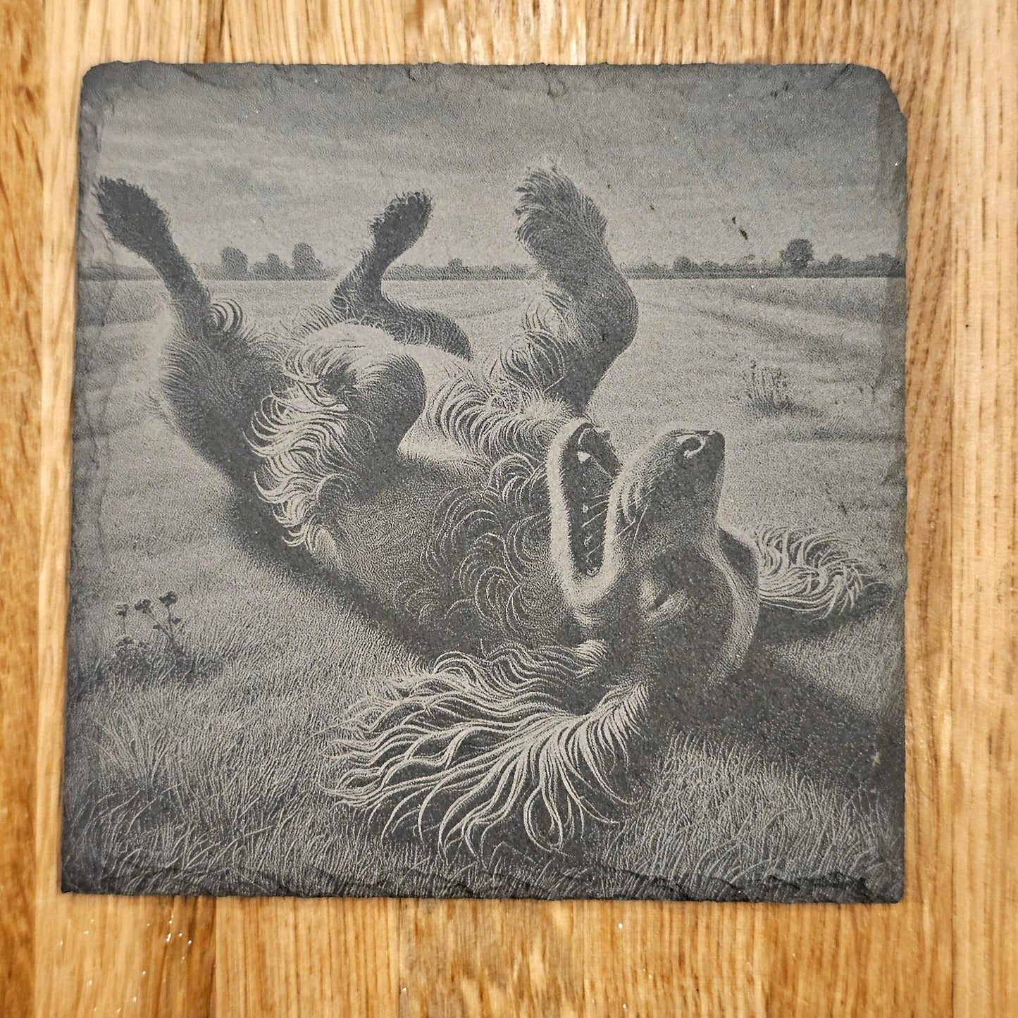 Happy Spaniel 4 Coaster Set