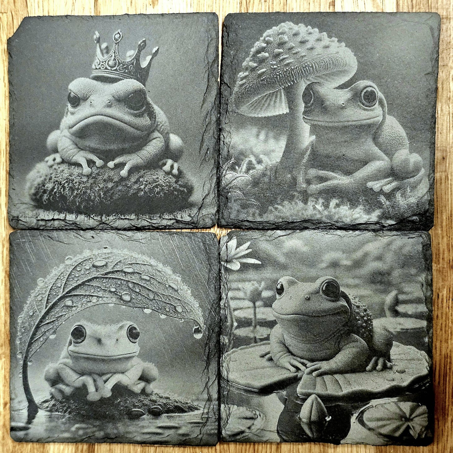 Frog Coaster Set