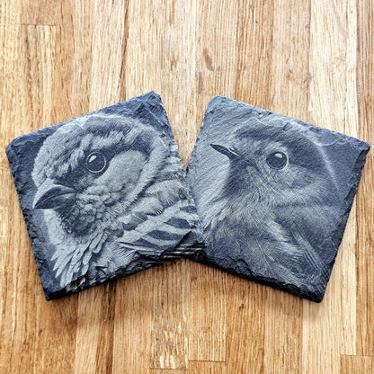 Garden Birds Coaster Set