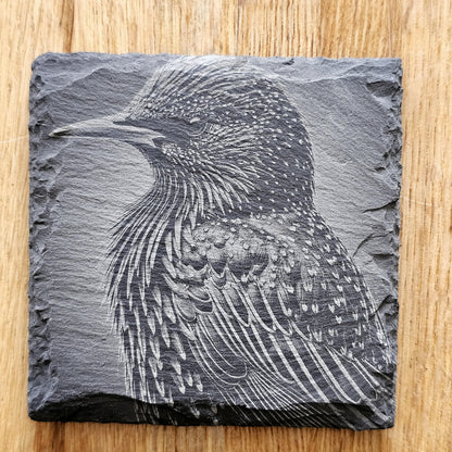 Garden Birds Coaster Set