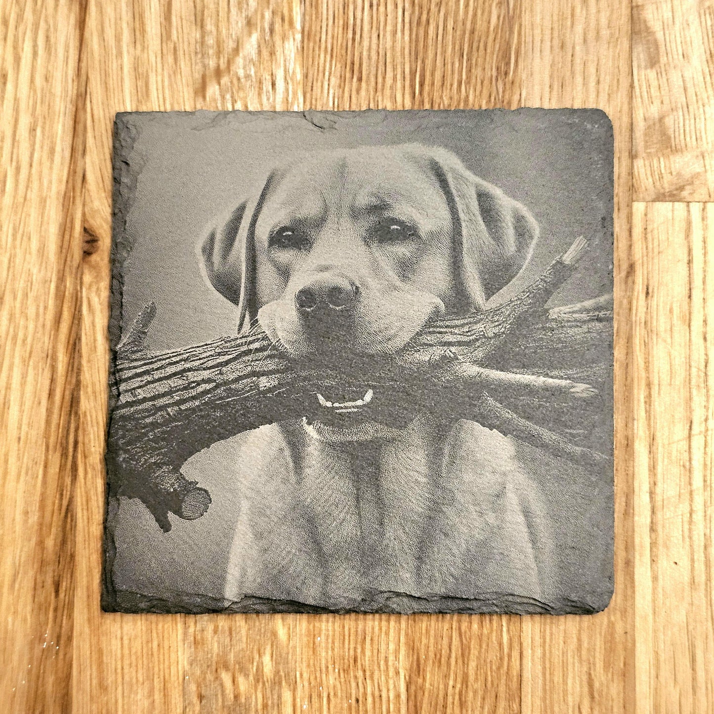 Happy Labrador 4 Coaster Set