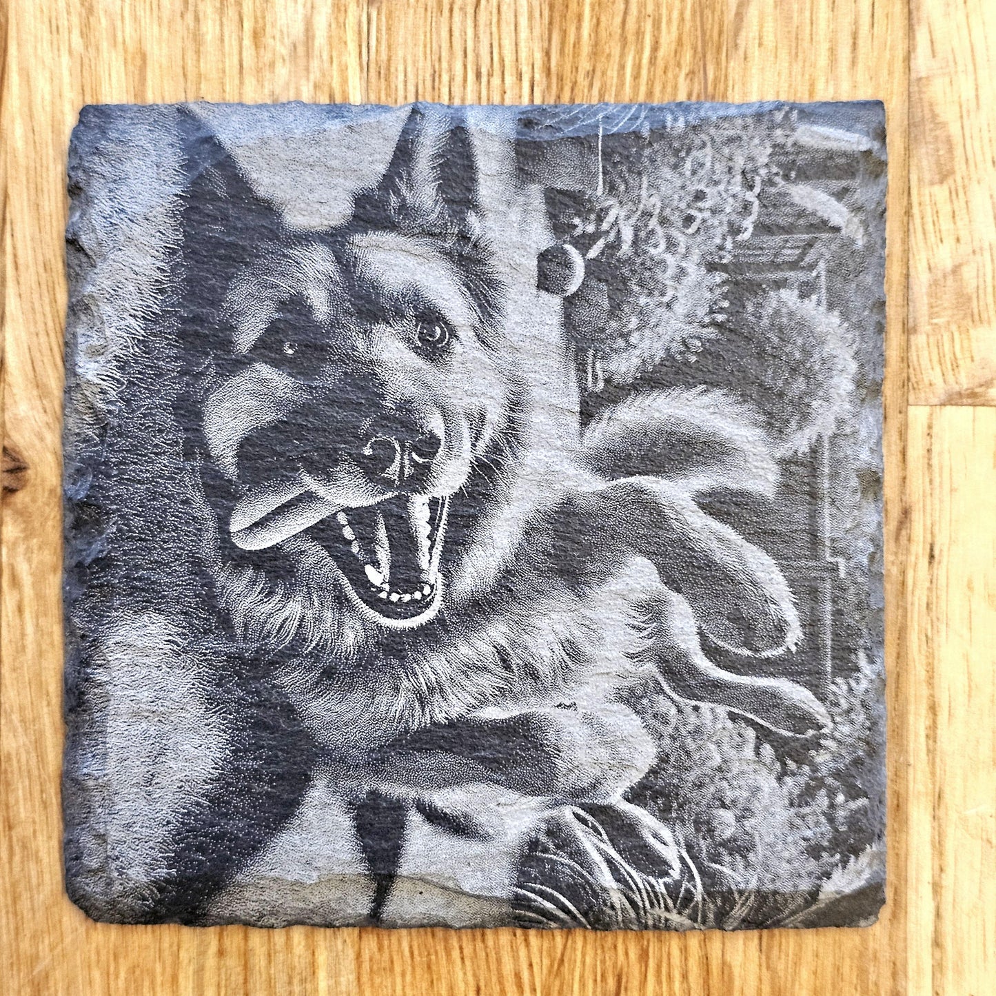 German Shepherd 4 Coaster Set