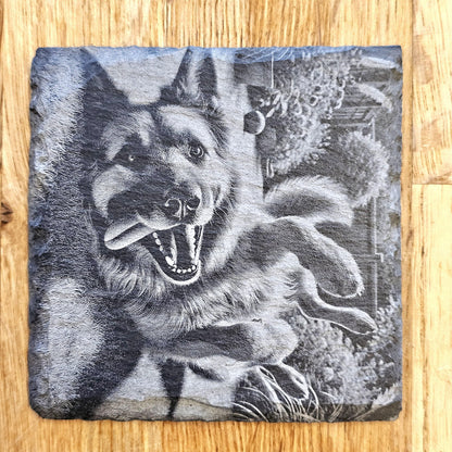 German Shepherd 4 Coaster Set