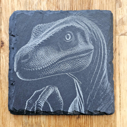 Dinosaur Art 4 Coaster Set