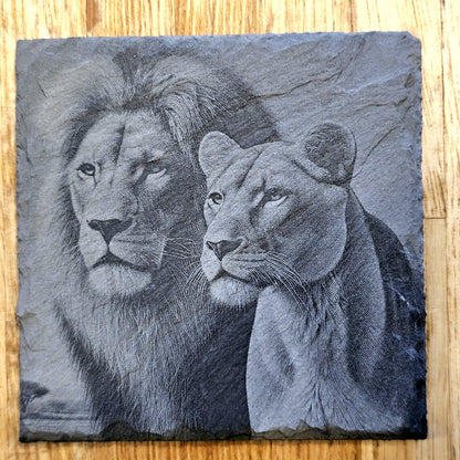 Lion Art 4 Coaster Set