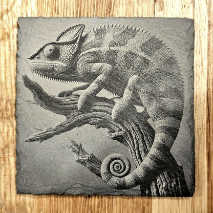 Lizards 4 Coaster Set