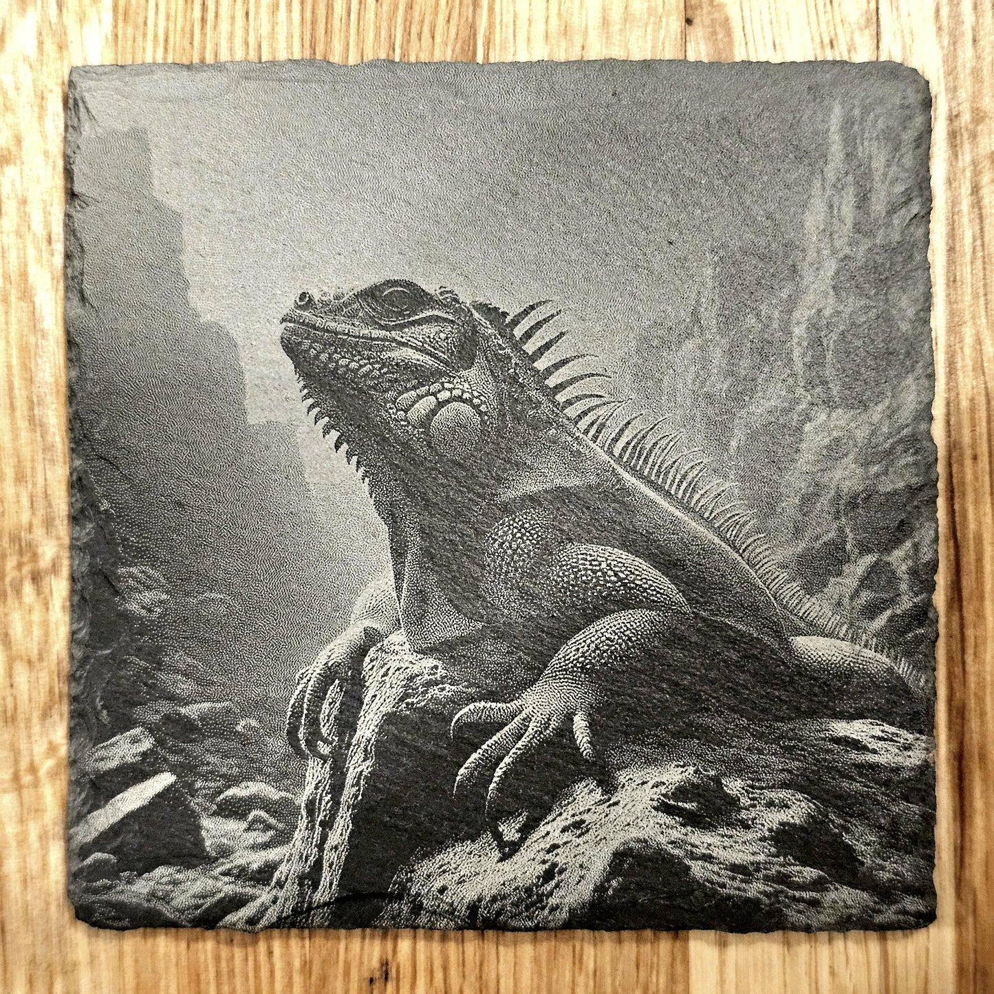 Lizards 4 Coaster Set