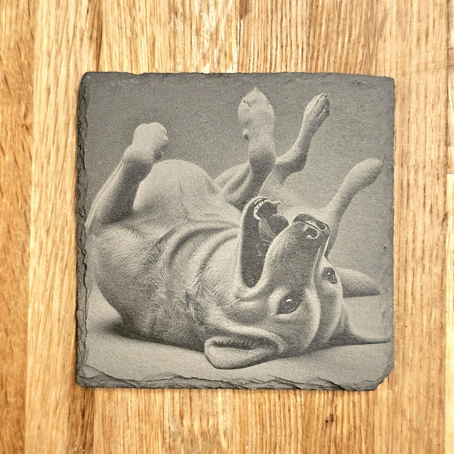 Happy Labrador 4 Coaster Set