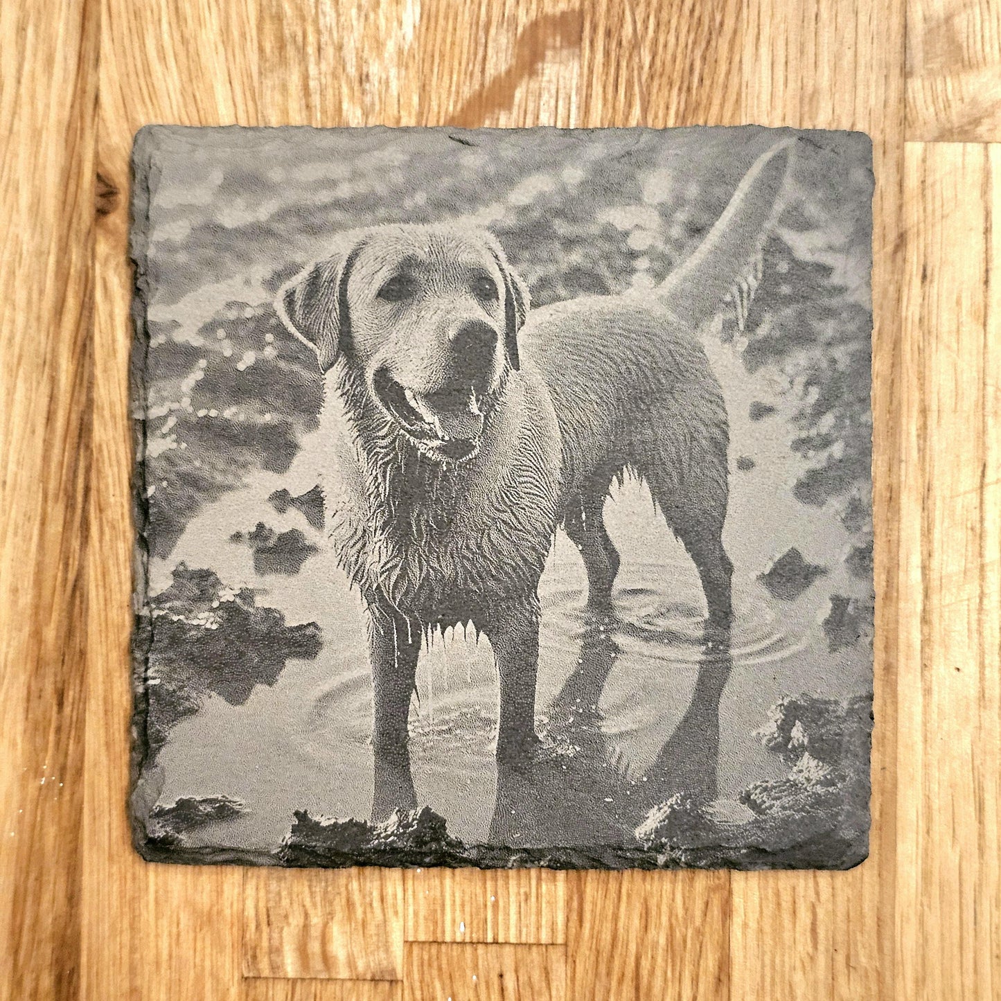 Happy Labrador 4 Coaster Set