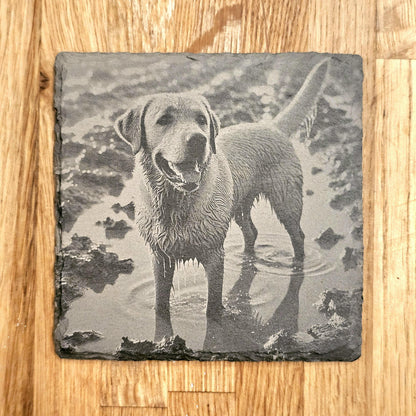 Happy Labrador 4 Coaster Set